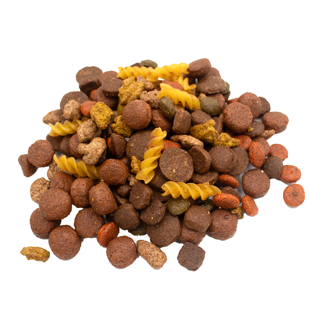 Dry food for fussy dogs deals