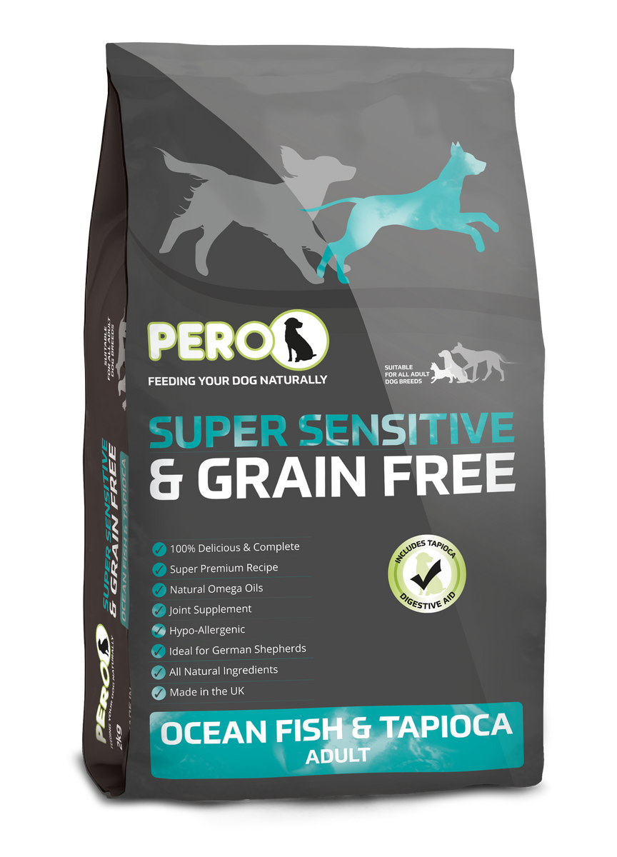 Feeding grain sales free dog food