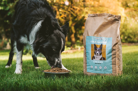 How Much Should You Feed Your Dog? A Guide by Weight, Age, and Activity Level