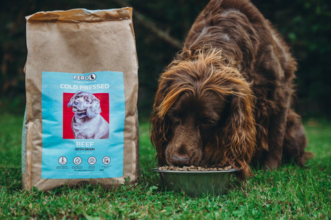 The Benefits of Cold Pressed Dog Food