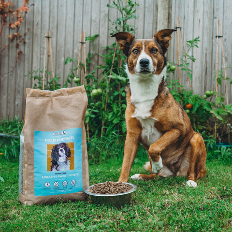 What is Cold Pressed Dog Food?