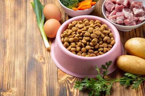 How Much Should You Feed Your Dog? A Guide by Weight, Age, and Activity Level