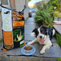 Pero Working Active - Pero Pet Food Product Image