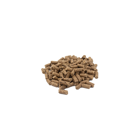 Beef with Grain (Cold Pressed)