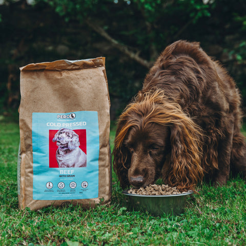 Beef with Grain (Cold Pressed)