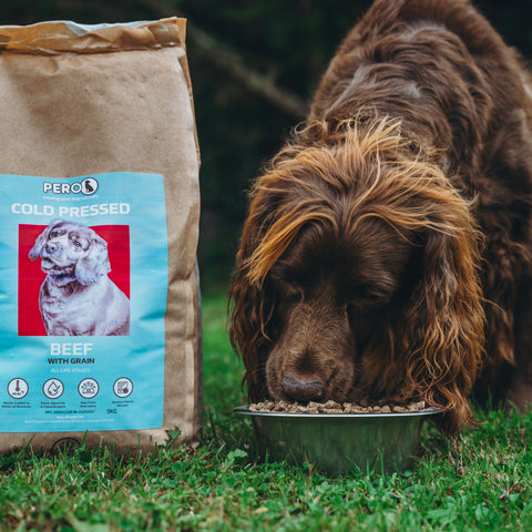 Beef with Grain (Cold Pressed)