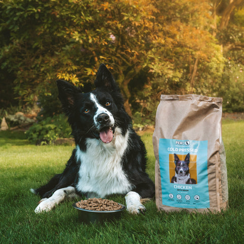 Chicken with Grain (Cold Pressed)