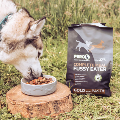 Fussy Eater - Gold with Pasta
