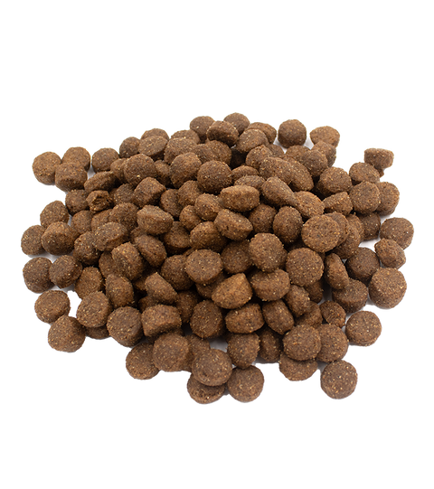 High-protein lamb dog food pieces