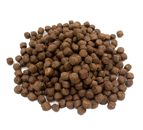 Healthy kibble for Labradors & retrievers