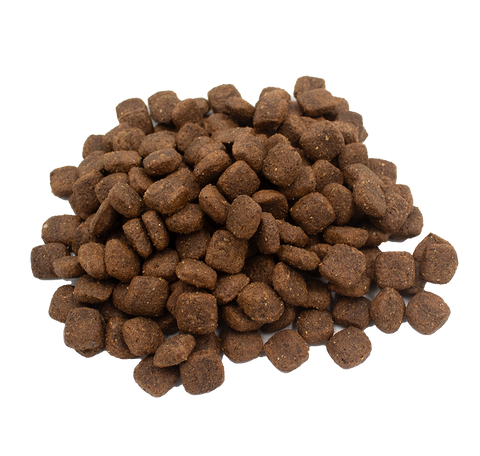 Turkey & Sweet Potato with Cranberry Dog Food