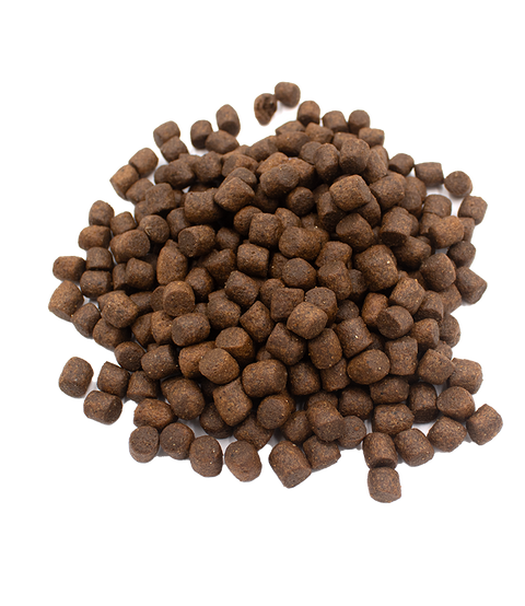 Premium kibble for dogs