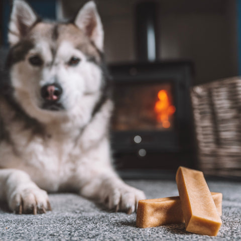 Yak Milk Chews