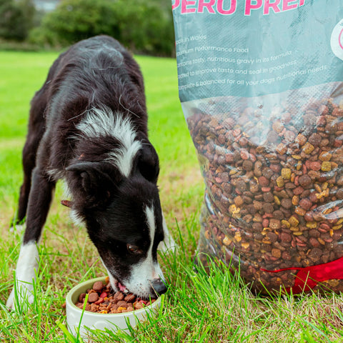 Pero Premiwm - Pero Pet Food Product Image
