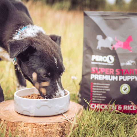 Super Start Premium Puppy - Chicken & Rice