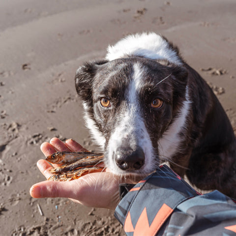 Dried Sprats