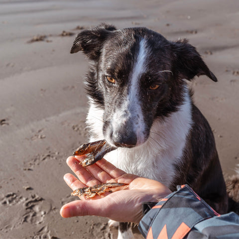 Dried Sprats