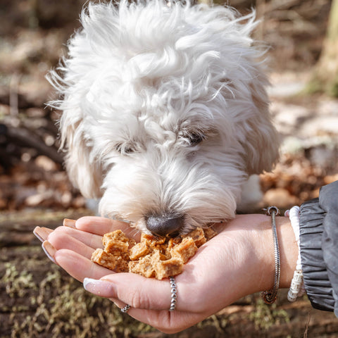 Turkey Bites