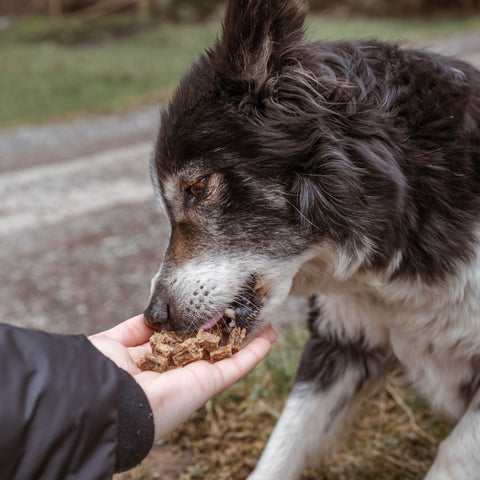 Venison Bites